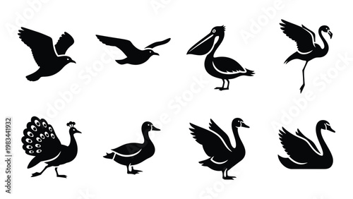 A collection of black silhouette birds including a pelican flamingo peacock and various waterfowl high quality
