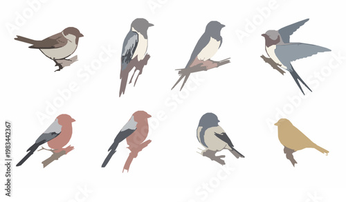 Minimalist hand drawn bird set with isolated branch elements sparrow swallow canary vector illustration