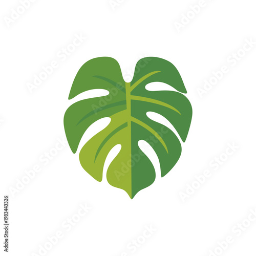 Canvastavla green monstera leaf, tropical plant foliage, colorful illustration