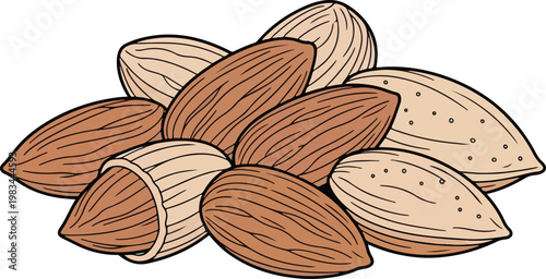 Almonds illustration with shells and kernels