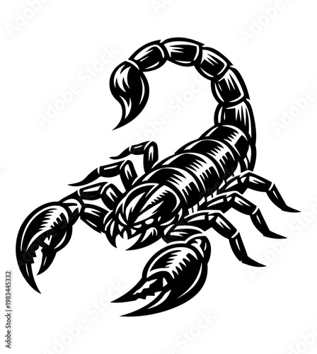 Scorpion in detailed engraving style. Curved tail and sharp claws in dynamic pose. Vector black ink illustration, danger and defense concept for tattoos or logos.