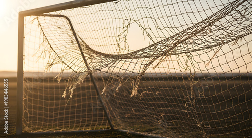 sports damage net