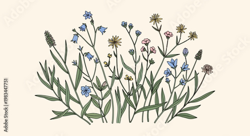 Small blue flowers and green grass.