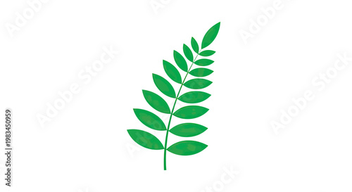 A single green stem with many oval-shaped leaves extending outwards