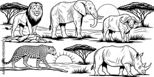 African Wildlife Safari Animals Illustration Set with Lion, Elephant, Buffalo, Leopard, and Rhino on the Savanna