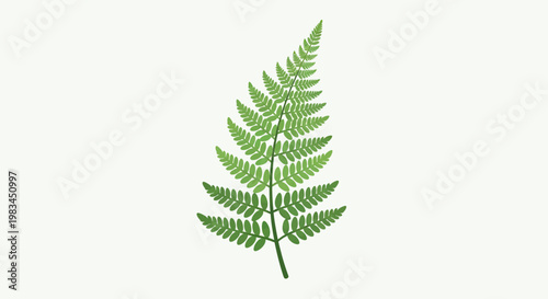 A single, vibrant green fern frond extends upwards against a pale, neutral background