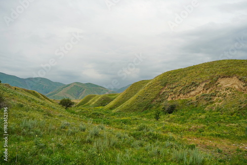A tree in the hollow of a small hill with a low-lying river. Rainy spring weather
