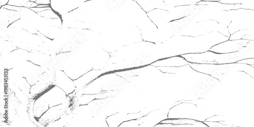 Cracked white wall texture with dark fracture lines, distressed plaster surface, grunge urban decay, rough abstract pattern, high contrast minimalist style.