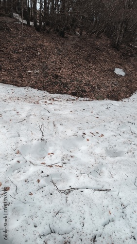 L'ultima neve in primavera 