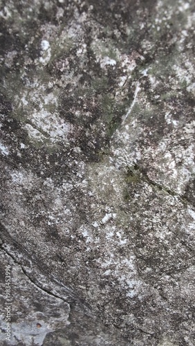 Texture pietra con muschio in montagna