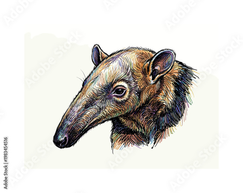 Close-up anteater head focusing on snout eye and subtle fur transitions with layered strokes creating refined structure and depth,