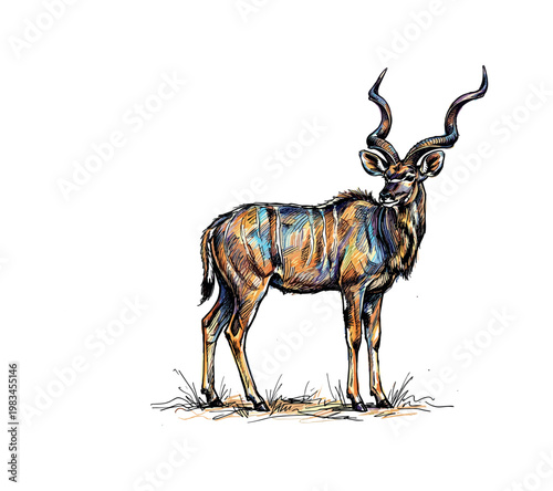 Standing antelope with slightly turned head and relaxed posture highlighting graceful anatomy and horn curvature in full body