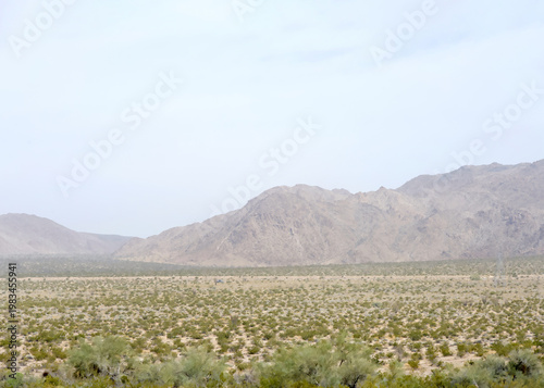 Desert landscape with scrub brush growing in Southern California near Palm Springs.