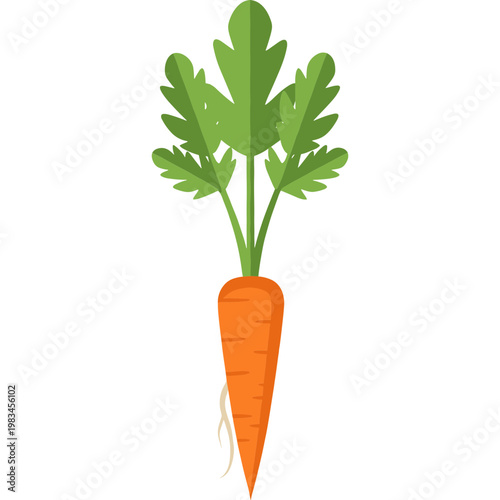 A vibrant orange carrot with leafy green tops grows in soil.