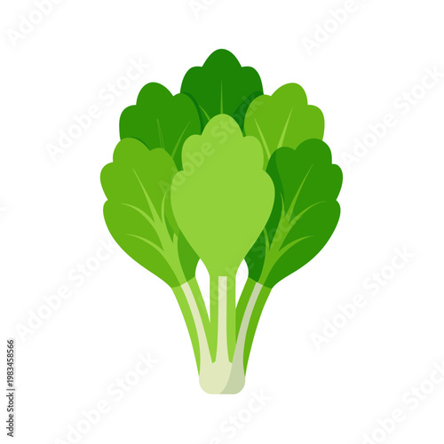 Fresh green bok choy vegetable isolated on transparent background for cooking and food projects
