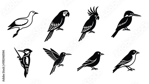 A collection of six distinct bird silhouettes in black and white showcasing varied species and postures