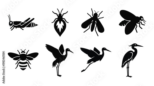 A collection of black silhouette icons depicting various insects and bird species high quality professional detailed