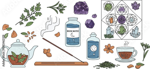 Hand drawn vector illustration set of gardening tools and flowers featuring a home equipment design for kitchen and restaurant use