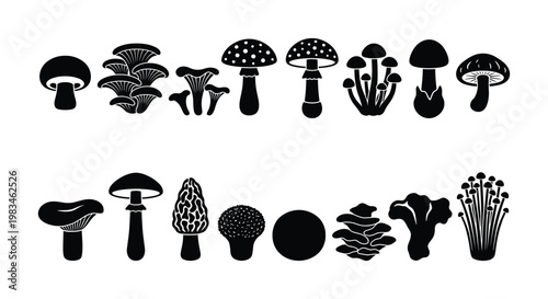 A versatile vector collection of various mushroom species silhouettes, including edible and wild fungi. Ideal for food blogs, nature illustrations, packaging, or educational content.