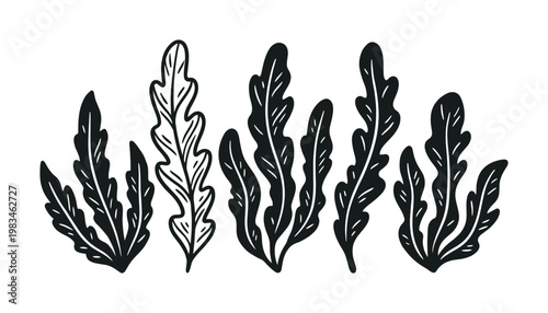 Stylized black and white plant illustrations, resembling seaweed or simple foliage, offering a natural and organic design element. Ideal for graphic design, patterns, and decorative uses.
