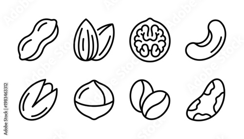 A minimalist line art icon set featuring various nuts including peanuts, almonds, walnuts, cashews, pistachios, hazelnuts, and Brazil nuts. Perfect for healthy food or snack-related designs.