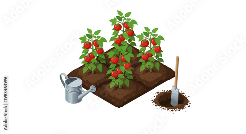 strawberry plants with gardening tools.