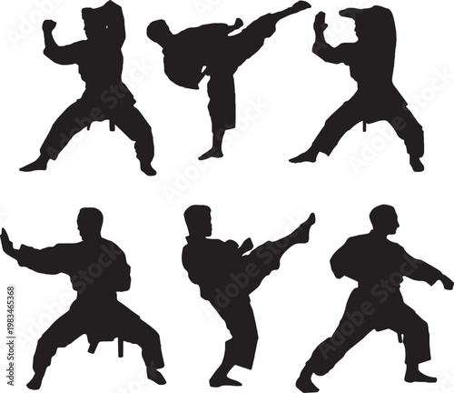 Silhouettes of martial artists practicing various karate and taekwondo poses in black and white