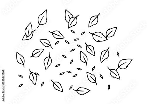 Black outline falling leaves set scattered on transparent background for autumn seasonal designs