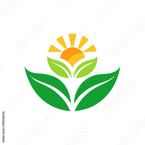 Sunrise symbol featuring double layered green leaves and yellow sun rays on transparent backdrop