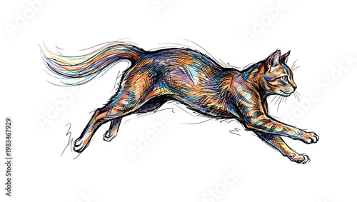 Domestic cat in dynamic stride with extended limbs and arched body silhouette capturing agility and grace through sleek anatomy