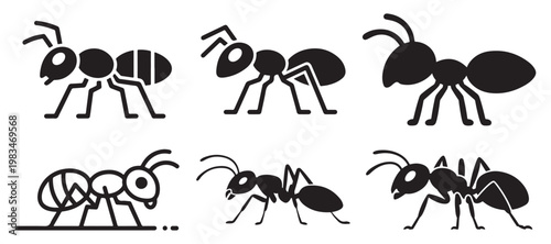 Profile View Ant Silhouette Collection for Professional Biology and Ecology Work. vector illustration eps 10