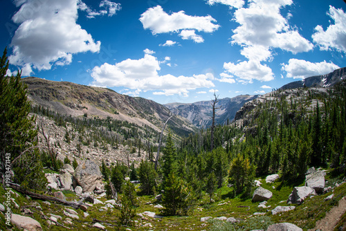The view from tree line, Beartooth Wilderness, Montanna, USA