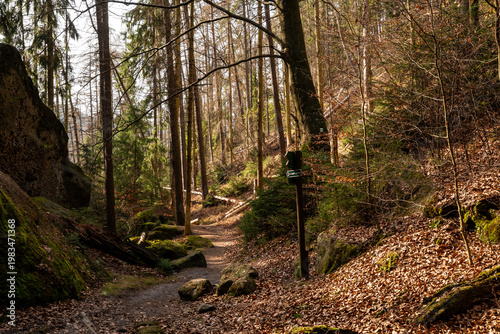 Wanderweg an der Hickelhöhle im Elbsandsteingebirge 2