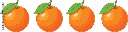 Vector Set of Fresh Oranges with Leaves, Ideal for Food, Fruit, and Healthy Lifestyle Illustrations