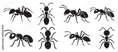 Mixed Perspective Ant Silhouette Set for Comprehensive Insect Life Studies. vector illustration eps 10