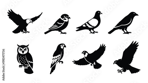 A collection of diverse bird silhouettes including eagles owls pigeons and ravens high quality professional detailed