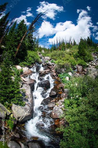Alpine waterfall on Rock Creek on the trail to Glacier Lake, Beartooth Wilderness, Montanna