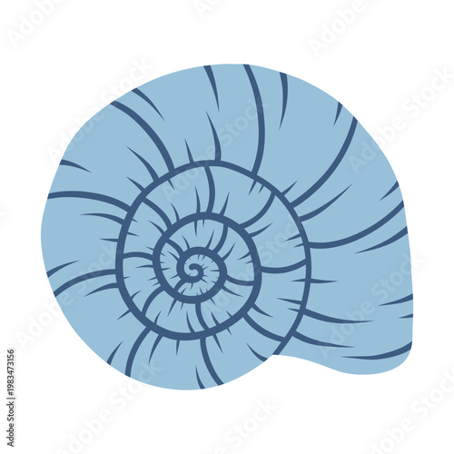 Spider conch shell. Tropical ocean aquatic decoration.	