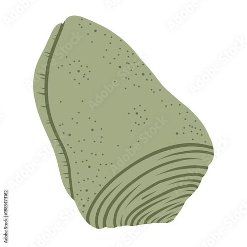 Spider conch shell. Tropical ocean aquatic decoration.	