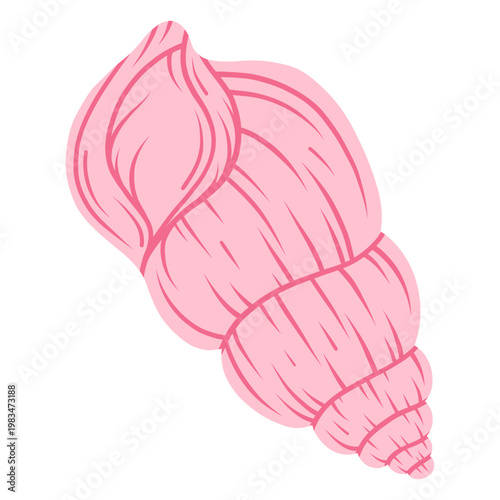 Spider conch shell. Tropical ocean aquatic decoration.	