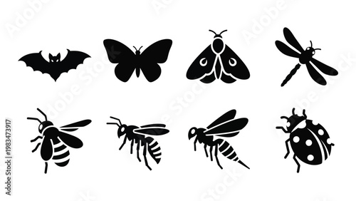 A collection of monochrome insect silhouettes including bats moths bees and beetles high quality professional detailed