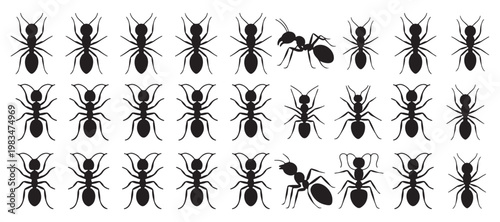 Top-Down View Ant Silhouette Collection for Pattern Design and Infographics. vector illustration eps 10