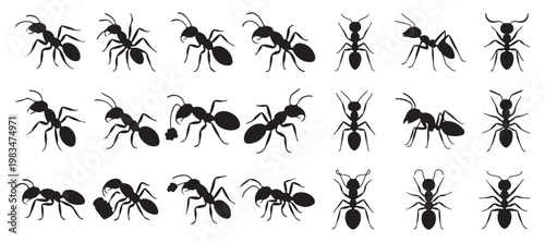 Small Detailed Ant Silhouettes Set for Macro Nature and Pest Control Graphics. vector illustration eps 10