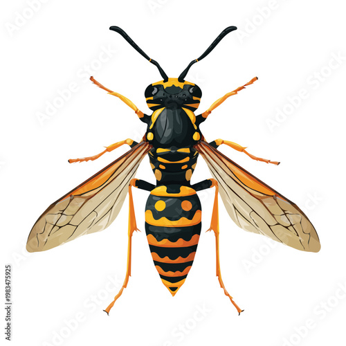 Wasp, illustrated as a clean 2D flat vector icon isolated on a white background