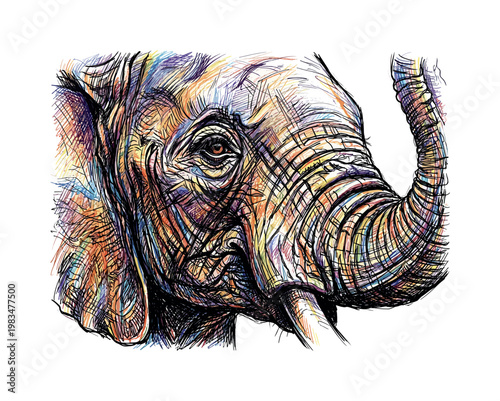Frontal elephant head with symmetrical ears and centered trunk creating powerful balanced composition with dense textured skin