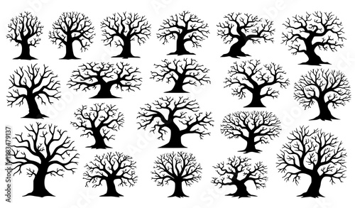 Large collection of dead tree silhouettes creepy leafless forest trees vector set isolated on white background Halloween design