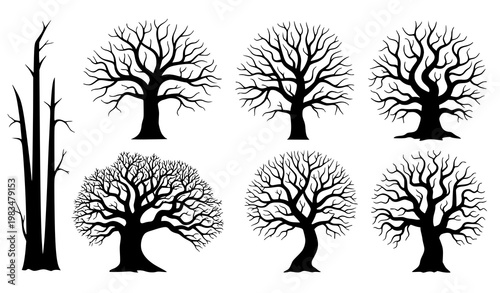 Creepy dead tree silhouette bundle vector illustration set of spooky leafless trees for Halloween decoration isolated white background