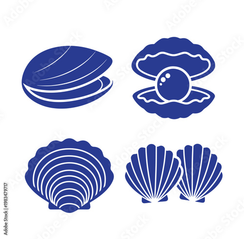 Blue illustrations of various types of seashells and oyster shell with pearl