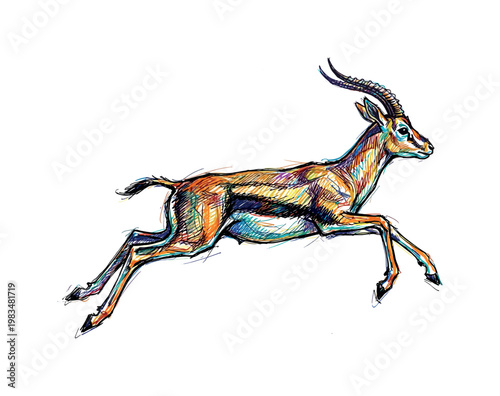 Gazelle in dynamic stride with extended legs and arched body silhouette capturing speed and agility through slender anatomy and