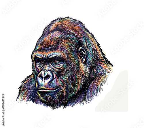 Gorilla head profile facing right with pronounced muzzle and layered fur emphasized through directional pen strokes and bold